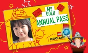 Gold Annual Pass (1)