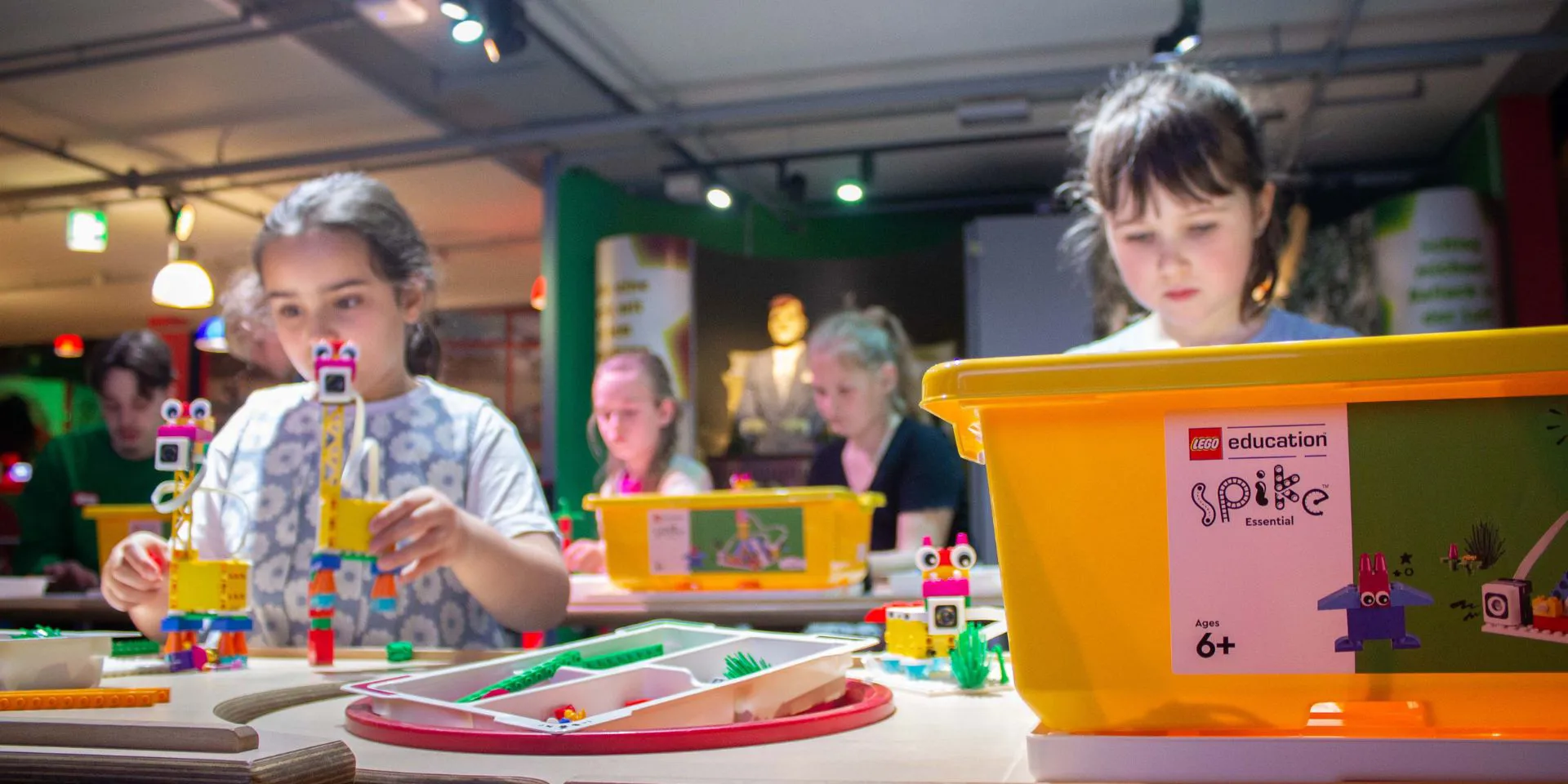Workshopschule Cmsticket 2025
