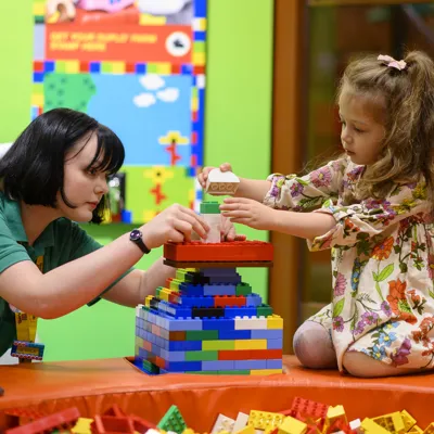 LEGO TODDLERS 24