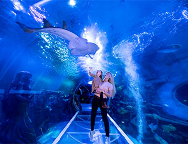 Mother & Daughter Ocean Tunnel MOB