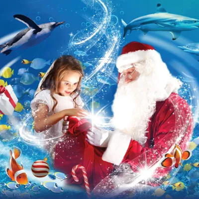 Santas Grotto Square