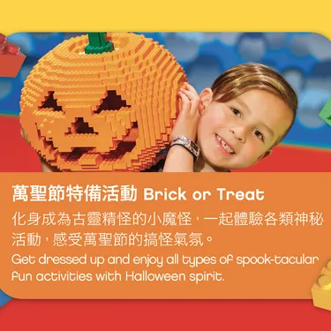 LEGO AP Flyer 13