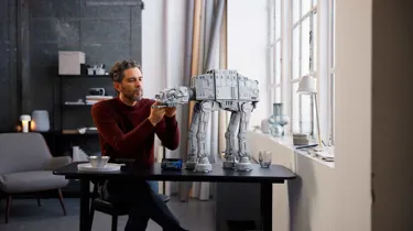 75313 Lifestyle Cons