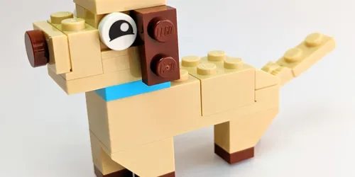 Labrador