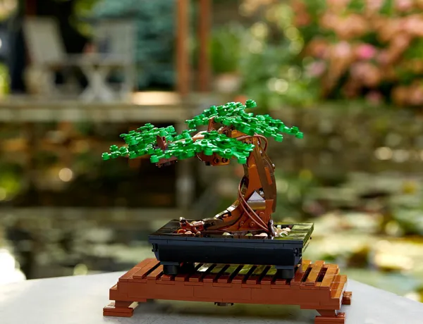 Bonsai Tree