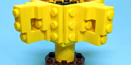 Melbourne Cup Build