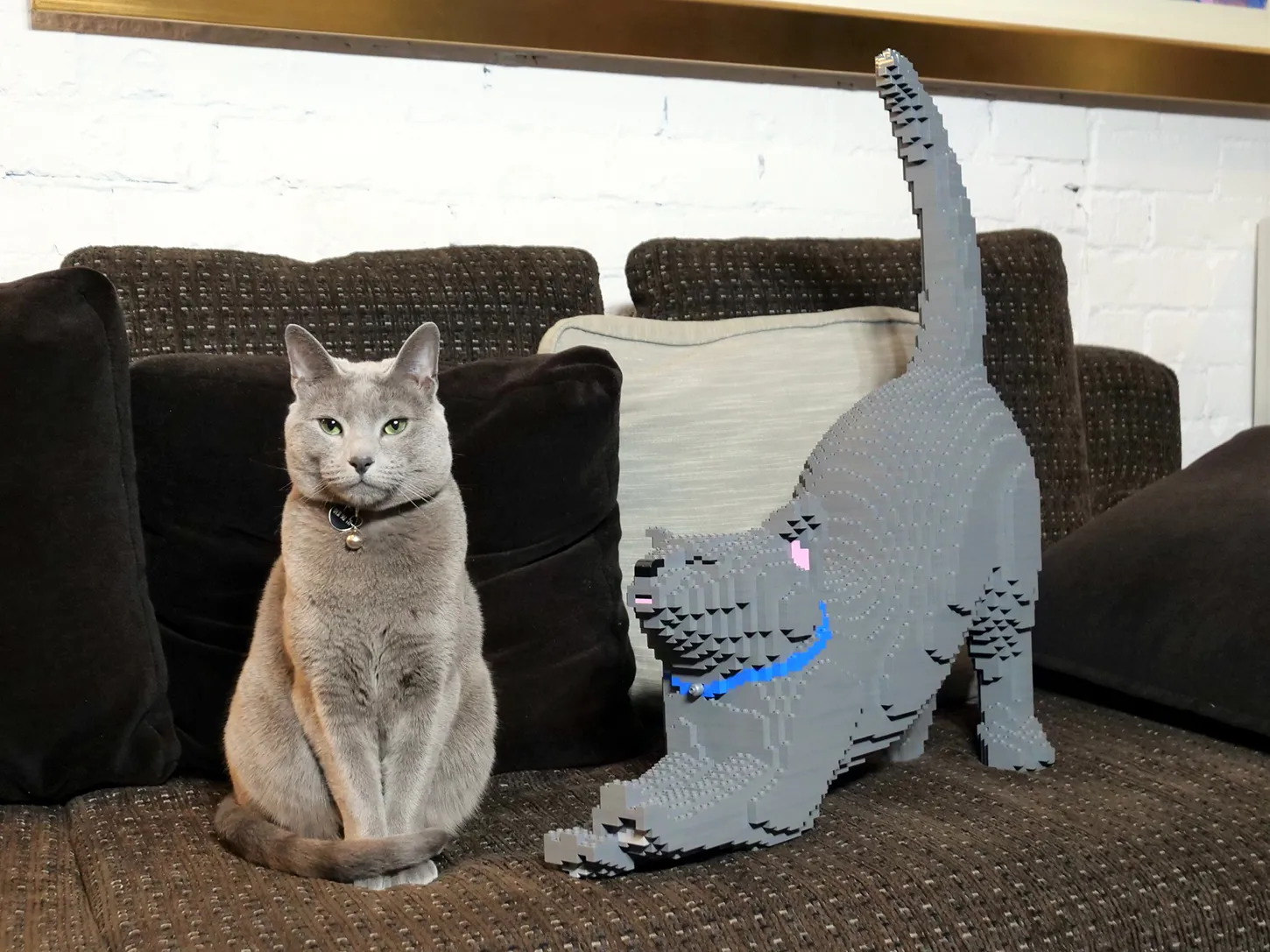 Lego cat discount