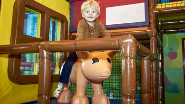 LDC Duplo Farm 2