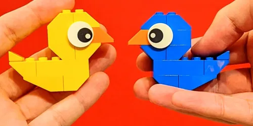 Friendship Ducks Edm