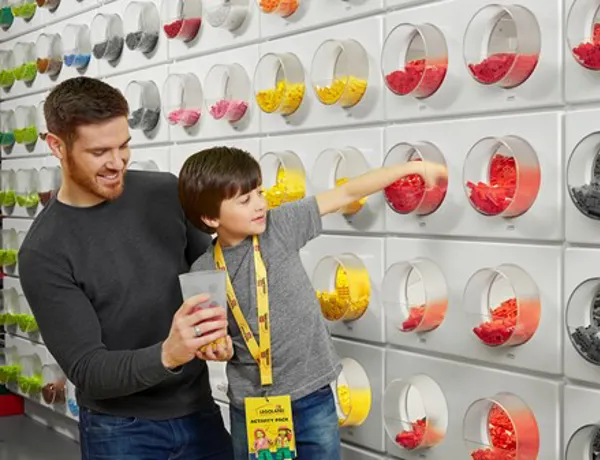 LDC Pick A Brick Wall