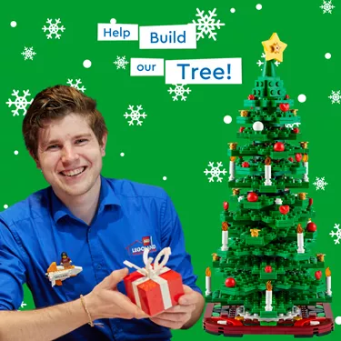 Build Our Tree (1)