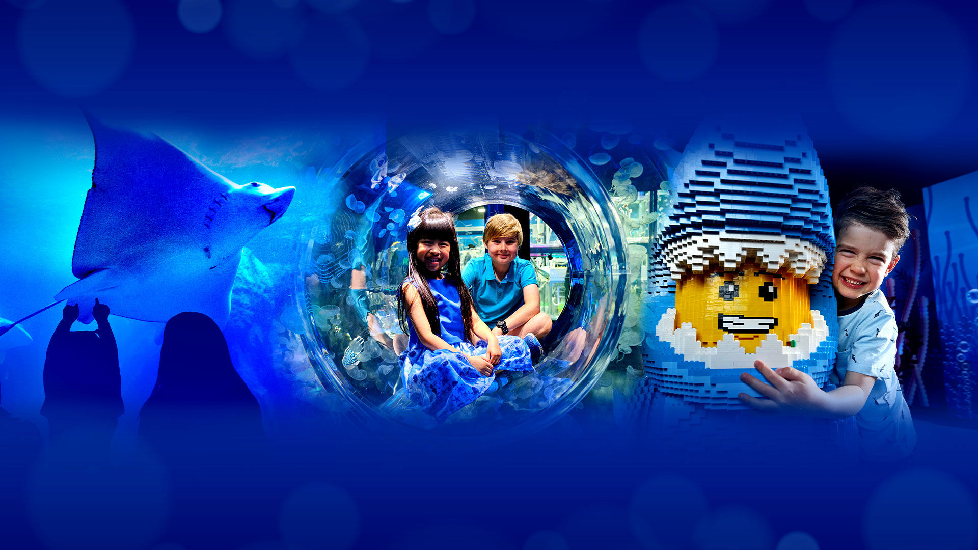 Merlin Annual Pass Pass, Attractions All Year Visits