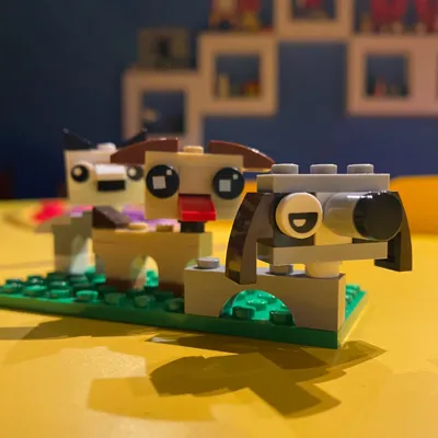 IDD Build