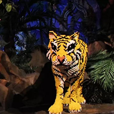 LEGO® Jungle Expedition | LEGOLAND Discovery Center