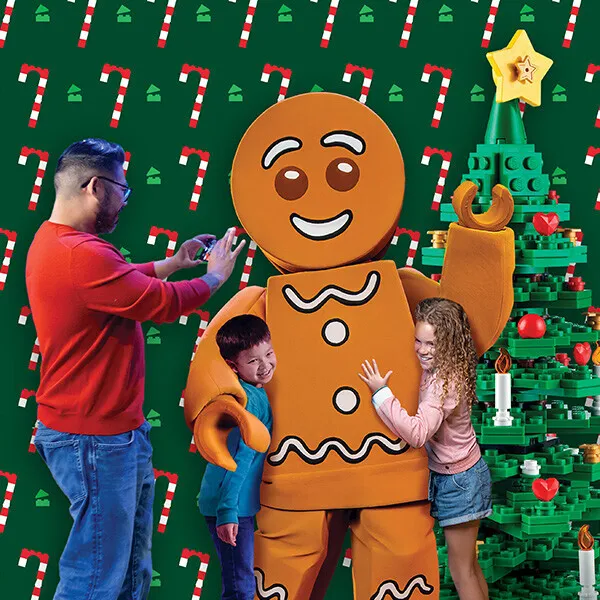 LDC CRM 600X600 Square GBM