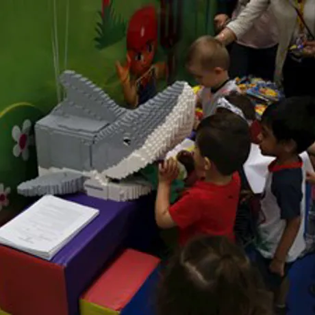 Feeding Shark Fb